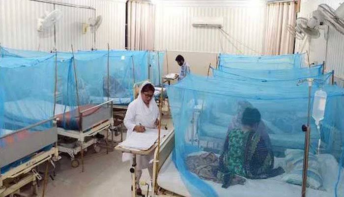 پنجاب میں 24 گھنٹوں کے دوران ڈینگی کے 149 نئے کیسز سامنے آئے۔