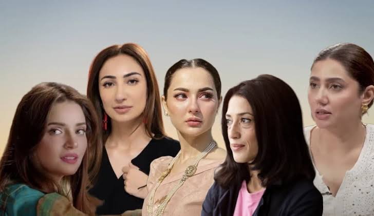 پاکستانی مشہور شخصیات ہندوستان کی سوشل میڈیا پابندی کا مذاق اڑانے کے لیے طنز کا استعمال کرتی ہیں