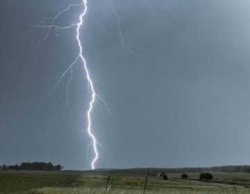جنوبی پنجاب میں آسمانی بجلی گرنے سے 4 افراد جاں بحق، متعدد زخمی۔