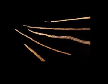 دنیا کے مشہور Schöningen Spears سائنسدانوں کے خیال سے 100,000 سال چھوٹے ہیں