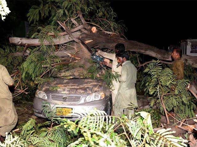 اسلام آباد میں طوفانی بارش سے درخت اکھڑ گئے، گاڑی تباہ۔