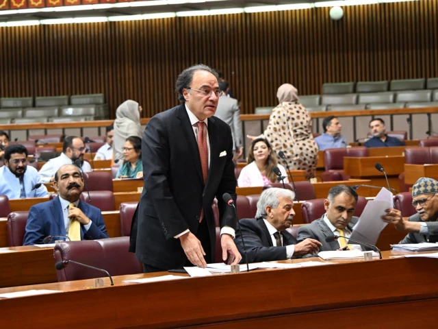 بجٹ 2025-26 بڑے پیمانے پر ٹیکس اصلاحات کے ساتھ قومی اسمبلی سے گزرتا ہے۔