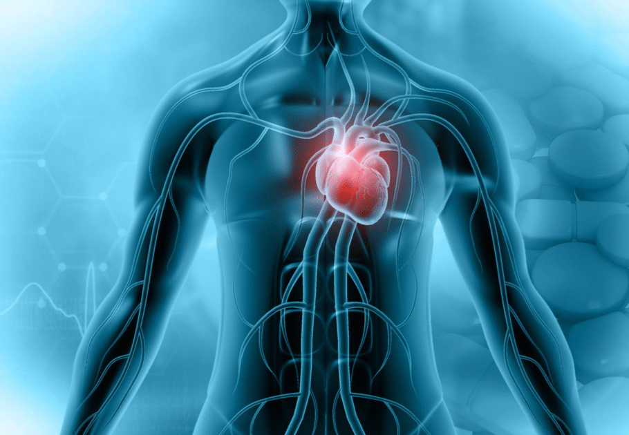 سائنس دانوں نے ایک ایسی غذا دریافت کی ہے جو دل کی بیماری کی کلیدی قسم کو روک سکتی ہے اور اسے ریورس کر سکتی ہے۔