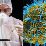 سائنسدانوں نے نامعلوم، مہلک بیماریوں کی وجہ تلاش کی۔