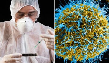 سائنسدانوں نے نامعلوم، مہلک بیماریوں کی وجہ تلاش کی۔