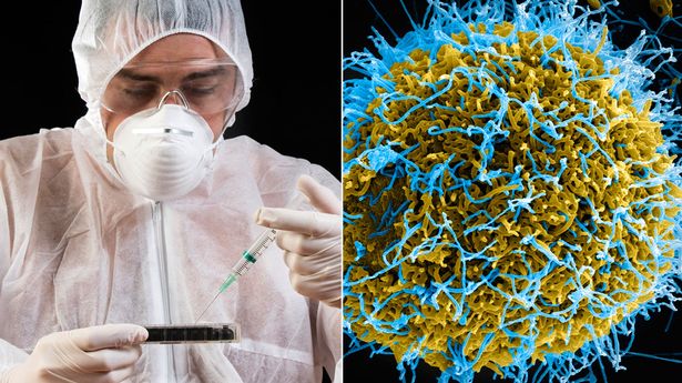 سائنسدانوں نے نامعلوم، مہلک بیماریوں کی وجہ تلاش کی۔