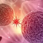 سائنسدانوں نے زمین پر موجود نایاب عنصر کی کینسر سے لڑنے والی طاقت کو کھول دیا۔