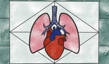 سائنس دانوں نے اعضاء کو بغیر ٹوٹ پھوٹ کے منجمد کرنے کا طریقہ دریافت
