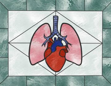 سائنس دانوں نے اعضاء کو بغیر ٹوٹ پھوٹ کے منجمد کرنے کا طریقہ دریافت