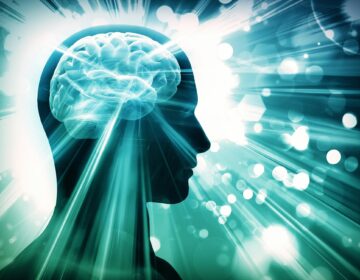 دماغ کے خفیہ دفاع کو بے نقاب کرنا: تناؤ کے خلاف اس کی پوشیدہ طاقت