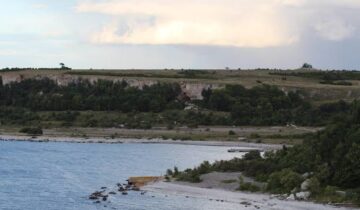 5,000 سال پرانے بھیڑیے دور دراز جزیرے پر پائے گئے گھریلو سازی کے روایتی مناظر کو چیلنج