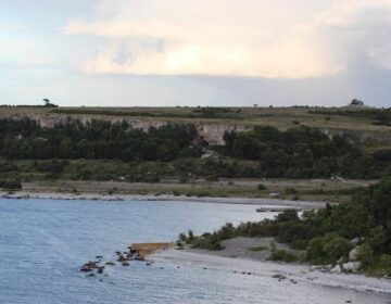 5,000 سال پرانے بھیڑیے دور دراز جزیرے پر پائے گئے گھریلو سازی کے روایتی مناظر کو چیلنج