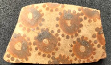 سائنسدانوں کو قدیم پھولوں کے فن میں پوشیدہ ریاضی ملا