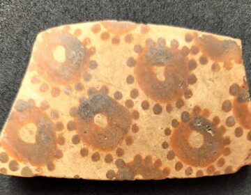 سائنسدانوں کو قدیم پھولوں کے فن میں پوشیدہ ریاضی ملا