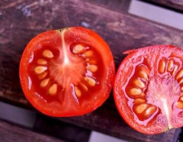 کیا ٹماٹر کا غذائیت بوڑھے بالغوں میں مسوڑھوں کی شدید بیماری کو روکنے میں مدد کر سکتا ہے؟