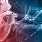 سائنسدانوں نے ذیابیطس اور دل کی بیماری کے لیے ممکنہ "دو میں سے ایک" علاج کا انکشاف کیا