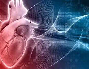 سائنسدانوں نے ذیابیطس اور دل کی بیماری کے لیے ممکنہ "دو میں سے ایک" علاج کا انکشاف کیا