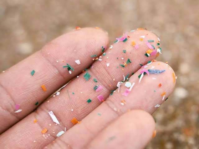 نئے مطالعہ سے پتہ چلتا ہے کہ کس طرح نینو پلاسٹک بیکٹیریا کو زیادہ خطرناک بناتا ہے