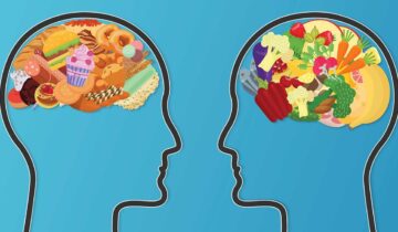 جنک فوڈ ڈائیٹ کے بعد ورزش کس طرح آنتوں اور دماغ کو ٹھیک کرتی ہے۔