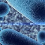 اینٹی بائیوٹکس کیوں کچھ دائمی زخموں کے لیے کافی نہیں ہیں۔