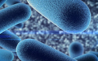 اینٹی بائیوٹکس کیوں کچھ دائمی زخموں کے لیے کافی نہیں ہیں۔