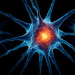 سائنسدانوں نے پروٹین کی شناخت کی ہے جو دماغ کی عمر کو ریورس کر سکتا ہے