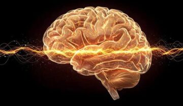 سائنسدانوں نے الزائمر کے ایک پوشیدہ ابتدائی مرحلے کا انکشاف کیا جسے وہ روک سکتے ہیں۔