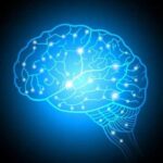 ورزش کی یہ سادہ عادت آپ کے دماغ کو جوان رکھ سکتی ہے۔