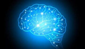 ورزش کی یہ سادہ عادت آپ کے دماغ کو جوان رکھ سکتی ہے۔