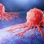 سائنسدانوں نے وٹامن بی 7 سے منسلک کینسر کے خلیات میں پوشیدہ کمزوری کا انکشاف کیا۔