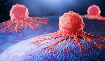 سائنسدانوں نے وٹامن بی 7 سے منسلک کینسر کے خلیات میں پوشیدہ کمزوری کا انکشاف کیا۔