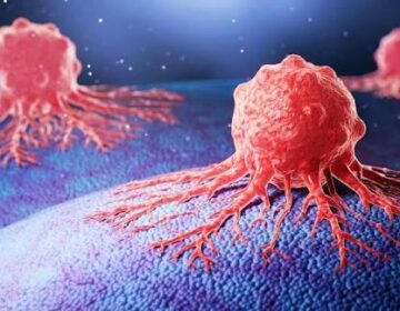 سائنسدانوں نے وٹامن بی 7 سے منسلک کینسر کے خلیات میں پوشیدہ کمزوری کا انکشاف کیا۔