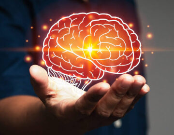 اسٹینفورڈ کے سائنسدانوں نے سالماتی غلطی کا پردہ فاش کیا جو دماغی عمر بڑھنے کا باعث بن سکتی ہے۔