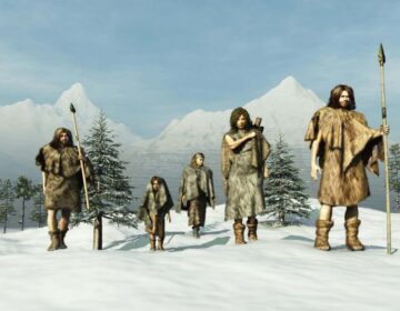 160,000 سال پہلے، چین میں Hominins ہماری سوچ سے کہیں زیادہ ترقی یافتہ