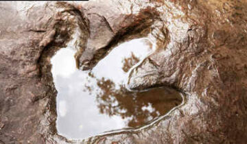 سائنسدانوں نے جنوبی افریقہ کے ساحل پر 132 ملین سال پرانے ڈائنوسار کی پٹریوں کو دریافت کیا