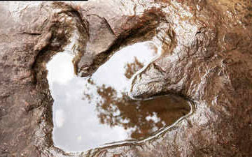 سائنسدانوں نے جنوبی افریقہ کے ساحل پر 132 ملین سال پرانے ڈائنوسار کی پٹریوں کو دریافت کیا