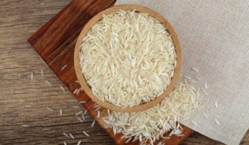 سائنسدانوں نے چاول کی عجیب و غریب خاصیت دریافت کی اور اسے سمارٹ مٹیریل میں بدل دیا۔