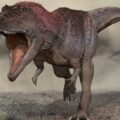 سائنس دانوں کا خیال ہے کہ آخرکار انہیں معلوم ہو گیا ہے کہ ٹی ریکس (T. rex) کے بازو اتنے چھوٹے کیوں تھے۔