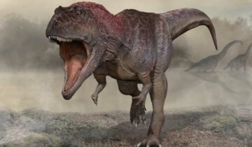 سائنس دانوں کا خیال ہے کہ آخرکار انہیں معلوم ہو گیا ہے کہ ٹی ریکس (T. rex) کے بازو اتنے چھوٹے کیوں تھے۔