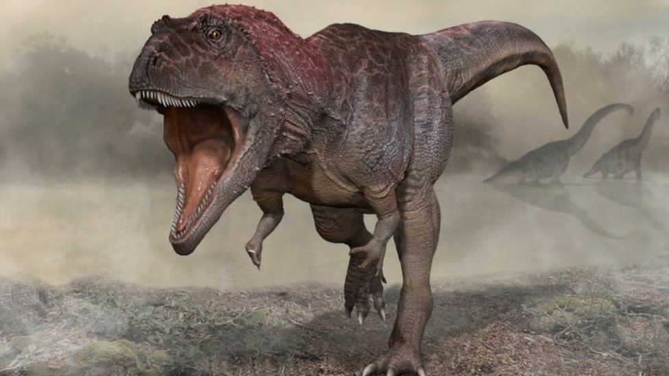 سائنس دانوں کا خیال ہے کہ آخرکار انہیں معلوم ہو گیا ہے کہ ٹی ریکس (T. rex) کے بازو اتنے چھوٹے کیوں تھے۔