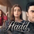 ڈرامہ سیریز Hadd نے غیر حقیقی تنخواہ پیکیج پر بحث چھیڑ دی۔