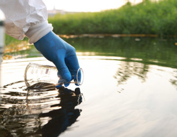 مشہور پرتگالی جھیل میں پائے جانے والے پوشیدہ پرجیوی صحت کے خدشات کو جنم دیتے ہیں۔