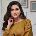 ویوز حاصل کرنے کے لیے ورکرز استعمال کرنے پر فضا علی ایک بار پھر تنقید کی زد میں