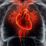 ہارٹ اٹیک اور فالج کے خطرے کو کم کرنے کے لیے وزن کم کرنے والی مشہور دوائیں پائی گئیں۔