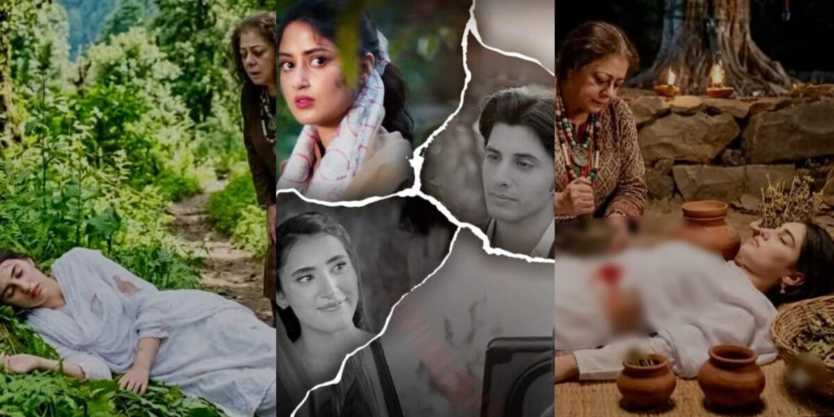 "سمی راحیل نے ڈرامہ زنجیریں کے غیر متوقع موڑ سے تجسس پیدا کر دیا۔"