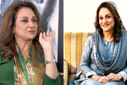 بشریٰ انصاری نے اپنی یوٹیوب کی آمدنی کے بارے میں حقیقت ظاہر کر دی۔