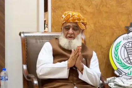 فضل الرحمان کا بیان انتہائی تکلیف دہ ہے: حذیفہ رحمان