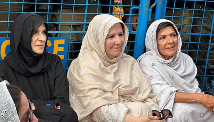 گوہر کا کہنا ہے کہ پی ٹی آئی ’پرامن‘ لانگ مارچ چاہتی ہے، انہوں نے عمران خان کی بہنوں کی حراست کی مذمت کی۔