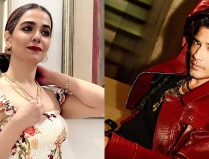 علی ظفر اور حمیمہ ملک ایک پاکستانی سیریز میں ایک ساتھ نظر آئیں گے